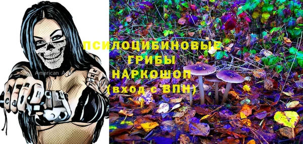ECSTASY Елабуга