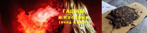 spice Ельня
