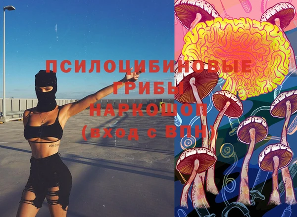 spice Ельня