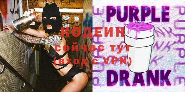 spice Ельня
