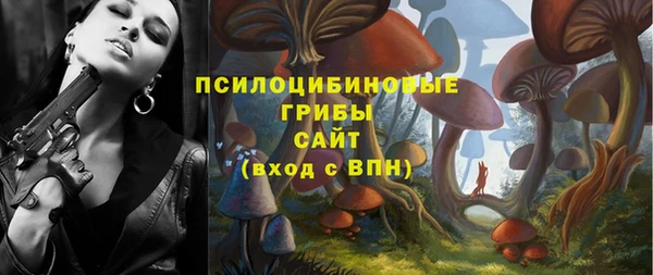 spice Ельня